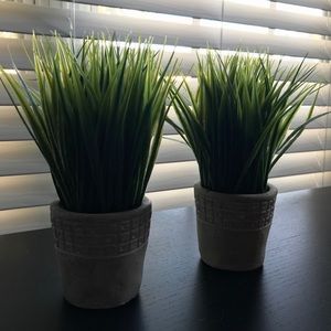 2 ARTIFICIAL PLANTS
